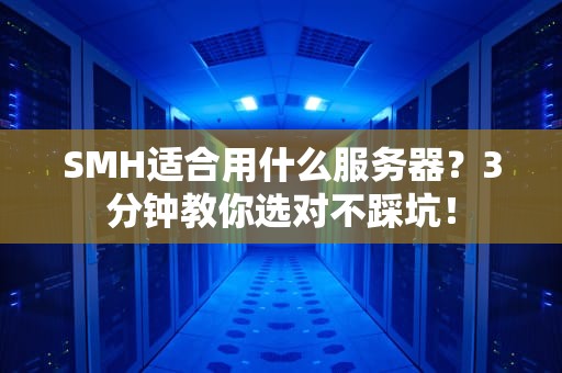 SMH适合用什么服务器？3分钟教你选对不踩坑！