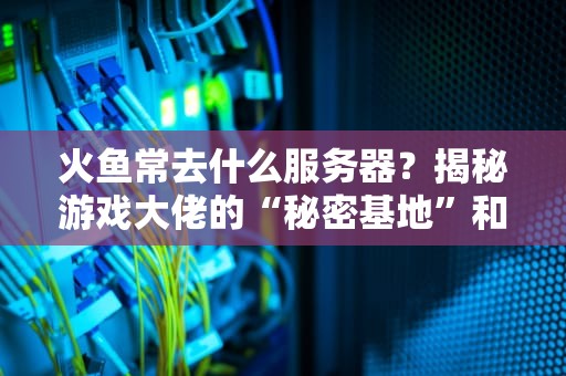 火鱼常去什么服务器？揭秘游戏大佬的“秘密基地”和避坑指南！