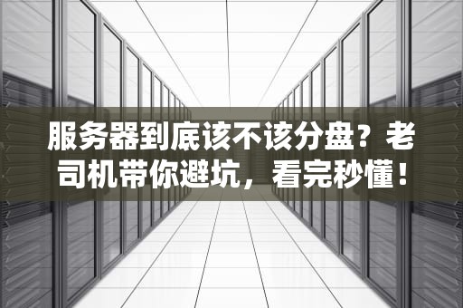 服务器到底该不该分盘？老司机带你避坑，看完秒懂！
