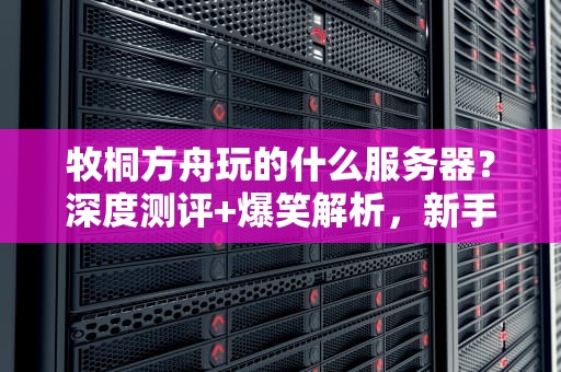 牧桐方舟玩的什么服务器？深度测评+爆笑解析，新手必看！