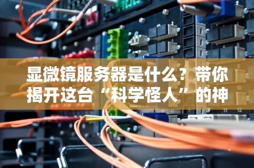 显微镜服务器是什么？带你揭开这台“科学怪人”的神秘面纱！