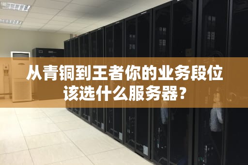 从青铜到王者你的业务段位该选什么服务器？