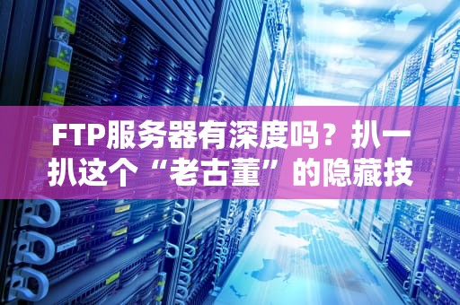 FTP服务器有深度吗？扒一扒这个“老古董”的隐藏技能！