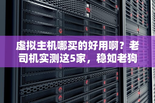 虚拟主机哪买的好用啊？老司机实测这5家，稳如老狗！