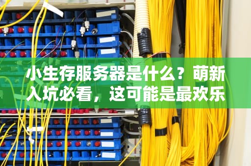 小生存服务器是什么？萌新入坑必看，这可能是最欢乐的生存体验！