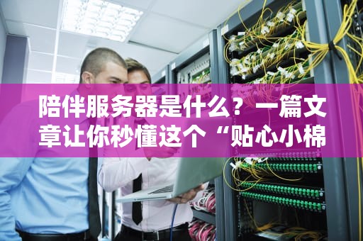 陪伴服务器是什么？一篇文章让你秒懂这个“贴心小棉袄”