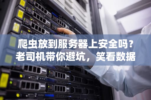 爬虫放到服务器上安全吗？老司机带你避坑，笑看数据翻车现场！
