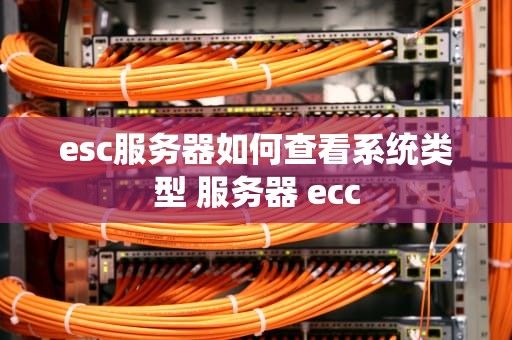 esc服务器如何查看系统类型 服务器 ecc