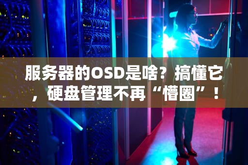 服务器的OSD是啥？搞懂它，硬盘管理不再“懵圈”！