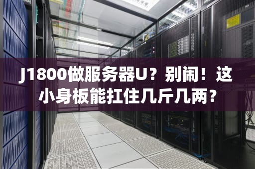 J1800做服务器U？别闹！这小身板能扛住几斤几两？