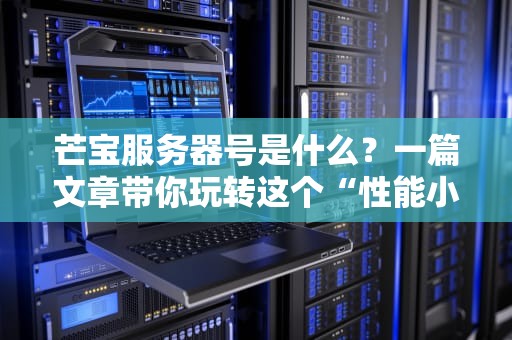 芒宝服务器号是什么？一篇文章带你玩转这个“性能小钢炮”！