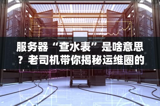 服务器“查水表”是啥意思？老司机带你揭秘运维圈的江湖黑话！