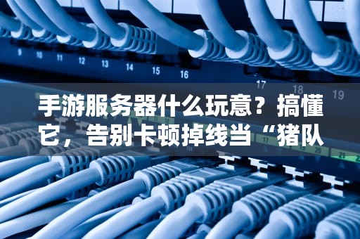 手游服务器什么玩意？搞懂它，告别卡顿掉线当“猪队友”！