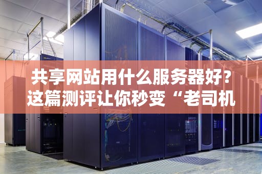 共享网站用什么服务器好？这篇测评让你秒变“老司机”！