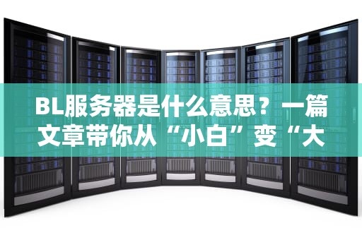 BL服务器是什么意思？一篇文章带你从“小白”变“大神”！