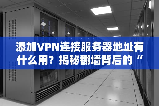 添加VPN连接服务器地址有什么用？揭秘翻墙背后的“技术玄机”！