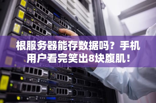 根服务器能存数据吗？手机用户看完笑出8块腹肌！