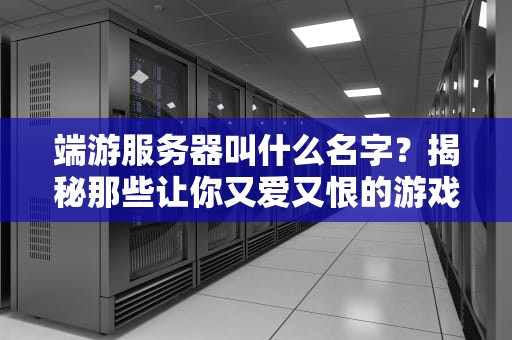 端游服务器叫什么名字？揭秘那些让你又爱又恨的游戏老家！