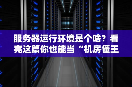 服务器运行环境是个啥？看完这篇你也能当“机房懂王”！