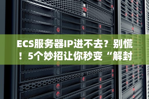 ECS服务器IP进不去？别慌！5个妙招让你秒变“解封达人”