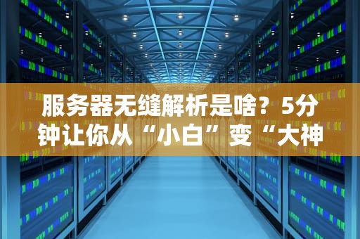 服务器无缝解析是啥？5分钟让你从“小白”变“大神”！