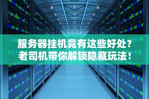 服务器挂机竟有这些好处？老司机带你解锁隐藏玩法！