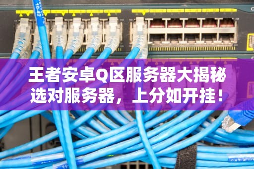 王者安卓Q区服务器大揭秘选对服务器，上分如开挂！