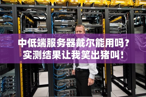 中低端服务器戴尔能用吗？实测结果让我笑出猪叫！