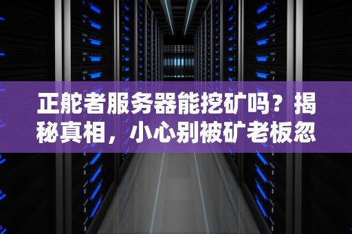 正舵者服务器能挖矿吗？揭秘真相，小心别被矿老板忽悠瘸了！
