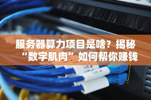 服务器算力项目是啥？揭秘“数字肌肉”如何帮你赚钱！