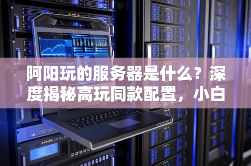 阿阳玩的服务器是什么？深度揭秘高玩同款配置，小白也能看懂！