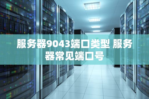 服务器9043端口类型 服务器常见端口号