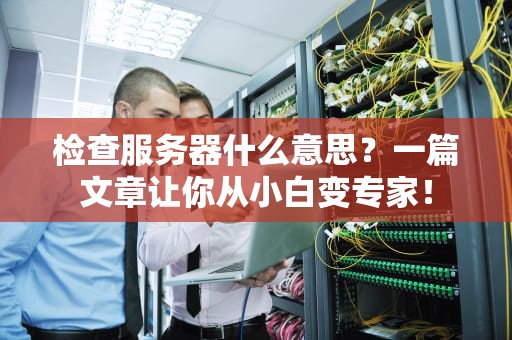 检查服务器什么意思？一篇文章让你从小白变专家！