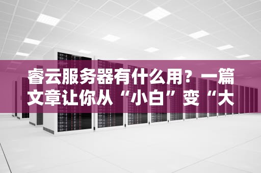 睿云服务器有什么用？一篇文章让你从“小白”变“大神”！