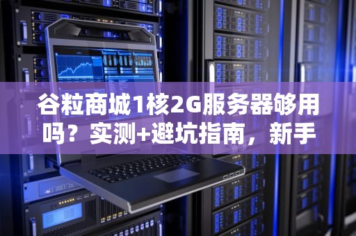 谷粒商城1核2G服务器够用吗？实测+避坑指南，新手必看！