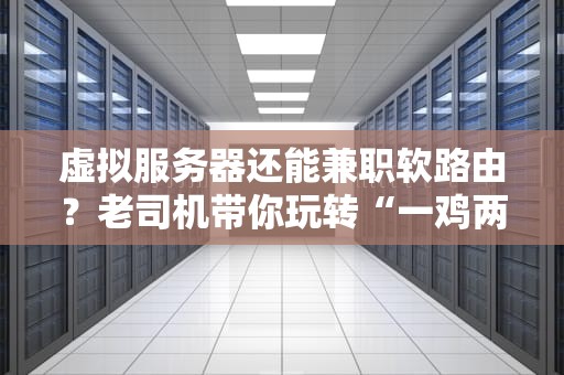 虚拟服务器还能兼职软路由？老司机带你玩转“一鸡两吃”黑科技！