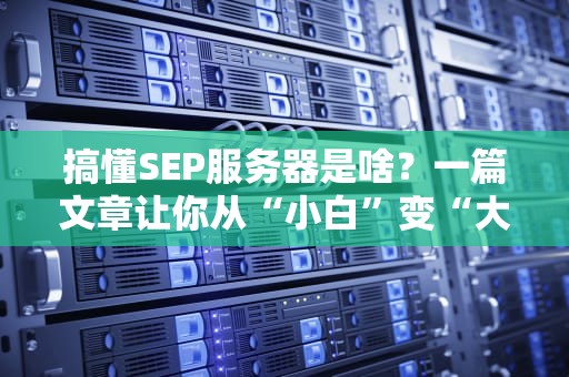 搞懂SEP服务器是啥？一篇文章让你从“小白”变“大神”！