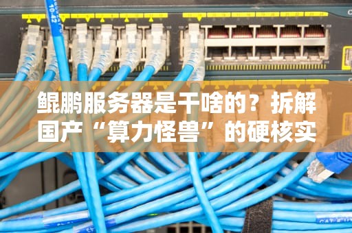 鲲鹏服务器是干啥的？拆解国产“算力怪兽”的硬核实力！
