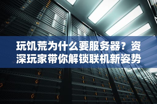 玩饥荒为什么要服务器？资深玩家带你解锁联机新姿势！