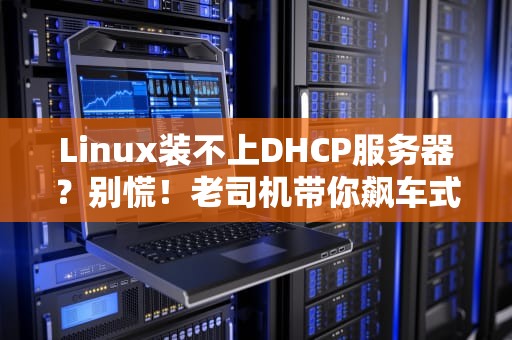 Linux装不上DHCP服务器？别慌！老司机带你飙车式排错指南