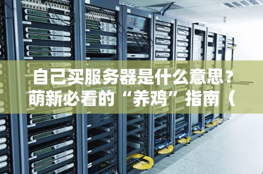 自己买服务器是什么意思？萌新必看的“养鸡”指南（附专业测评）
