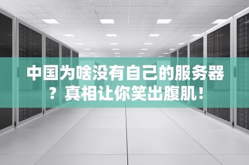 中国为啥没有自己的服务器？真相让你笑出腹肌！
