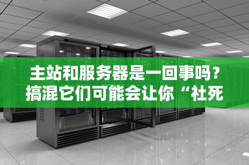主站和服务器是一回事吗？搞混它们可能会让你“社死”互联网！
