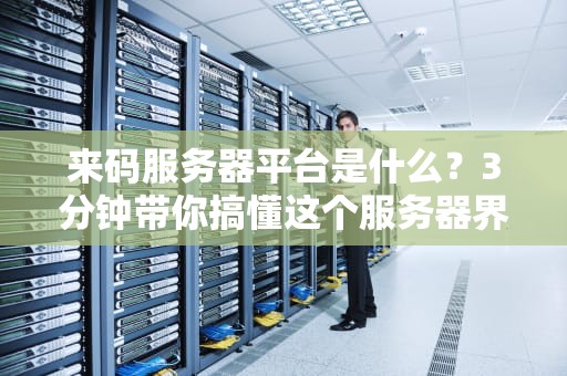 来码服务器平台是什么？3分钟带你搞懂这个服务器界的拼多多！