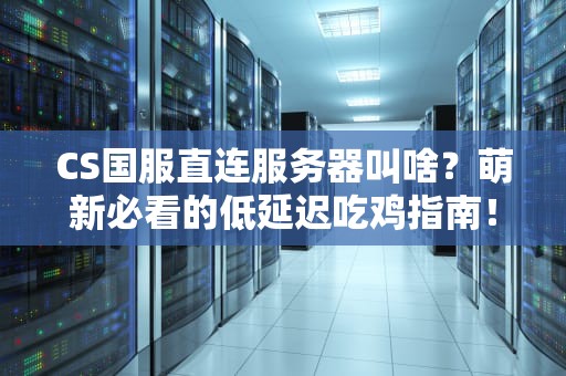 CS国服直连服务器叫啥？萌新必看的低延迟吃鸡指南！