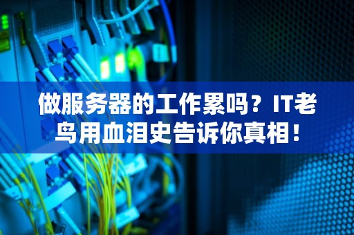 做服务器的工作累吗？IT老鸟用血泪史告诉你真相！