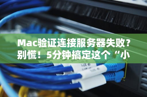 Mac验证连接服务器失败？别慌！5分钟搞定这个“小傲娇”问题（附终极排错指南）