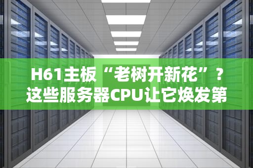 H61主板“老树开新花”？这些服务器CPU让它焕发第二春！