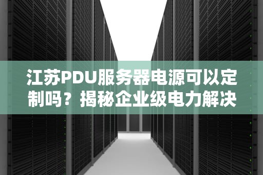 江苏PDU服务器电源可以定制吗？揭秘企业级电力解决方案的灵活玩法