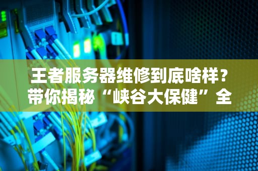 王者服务器维修到底啥样？带你揭秘“峡谷大保健”全过程！